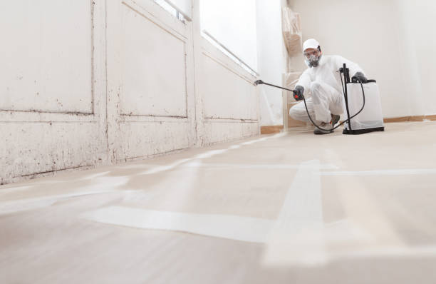 24/7 Emergency Bathroom Mold Removal experts in Hillside, NJ